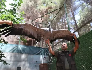 Turna Kuşuna 4 Yıldır Özenle Bakılıyor