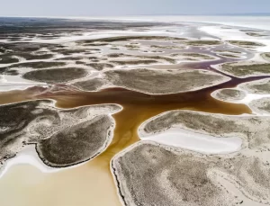 Tuz Gölü’nden Kuraklıkla Mücadele için Gen Aktarımı