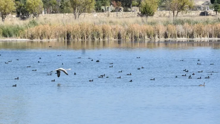 Ulaş Gölü’nde Su Seviyesi Düşüyor