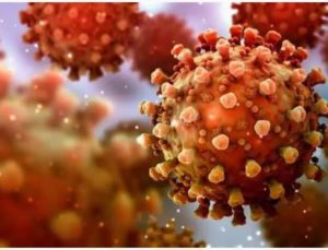 Ülkede ölümcül Marburg virüsü alarmı! Tedavisi yok