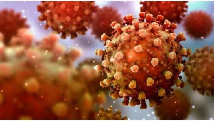 Ülkede ölümcül Marburg virüsü alarmı! Tedavisi yok