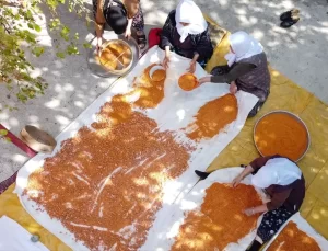 Uşak’ta Tarhana Yapımına Geç Başlandı