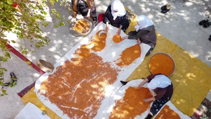 Uşak’ta Tarhana Yapımına Geç Başlandı