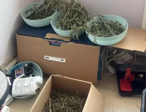 Uyuşturucu İmalatçısı Samsun’da Yakalandı