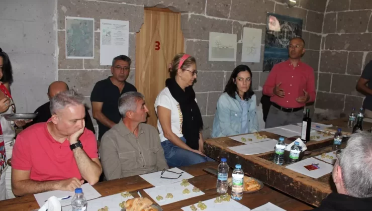 Üzümler Koruma Altına Alınıyor