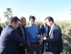 Vali Karakaya Elma Hasadına Katıldı