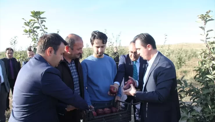 Vali Karakaya Elma Hasadına Katıldı