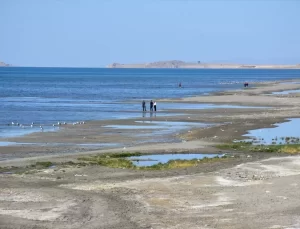 Van’da Kaybolan Üniversite Öğrencisi Aranıyor