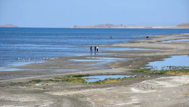 Van’da Kaybolan Üniversite Öğrencisi Aranıyor