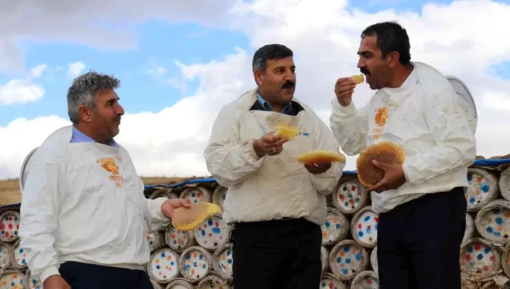 Van’da Verimli Bal Hasadı: Kaliteli Bal Üretimi Artıyor
