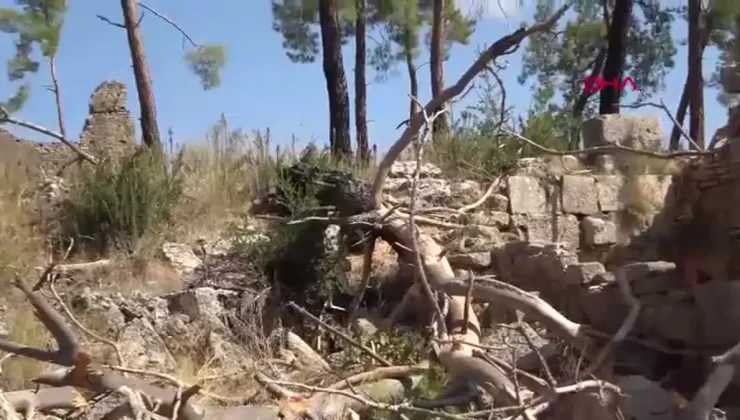 Yangın Sonrası Antik Kentte Ağaçlar Yıkılıyor