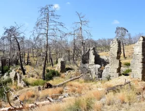 Yangın Zararları Antik Kentte Devam Ediyor