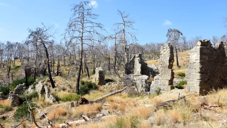 Yangın Zararları Antik Kentte Devam Ediyor
