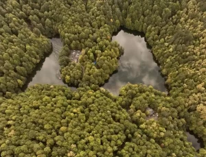 Yedigöller’de Sonbahar Güzellikleri