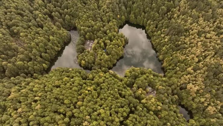 Yedigöller’de Sonbahar Güzellikleri