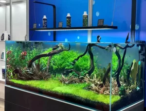 Yerli Pet Ürünleri İhracatı Artıyor