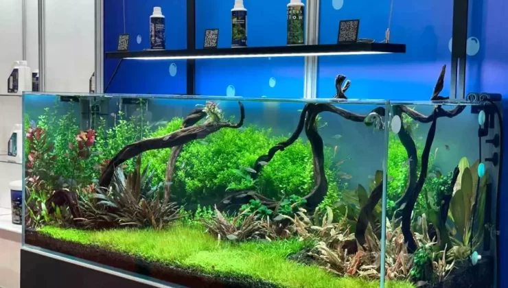 Yerli Pet Ürünleri İhracatı Artıyor