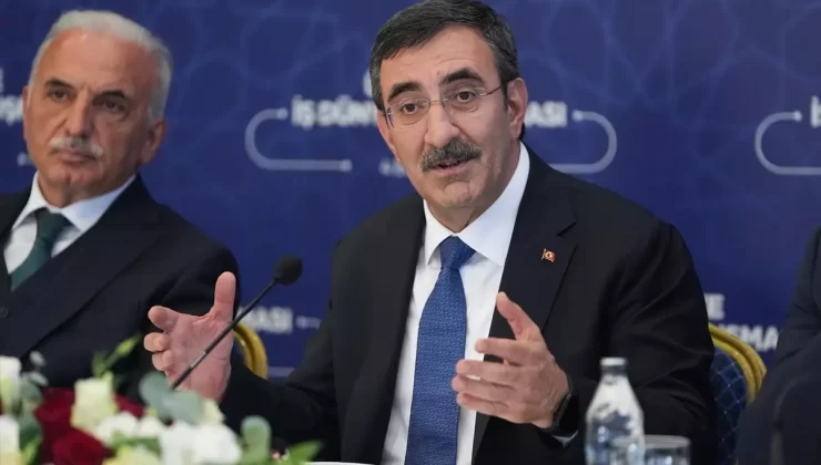 Yılmaz, Enflasyonu Düşürme Hedefini Açıkladı