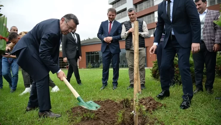 Yomra Elması Fidanı Dağıtımı