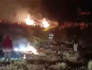 Yüksekova’da Kuş Cennetinde Yangın