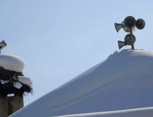 Yüksekova’da Leylekler Kışı Geçiriyor