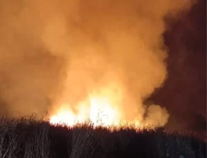Yüksekova’da Sazlık Yangını Söndürüldü