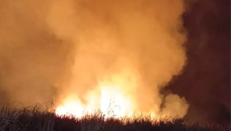 Yüksekova’da Sazlık Yangını Söndürüldü
