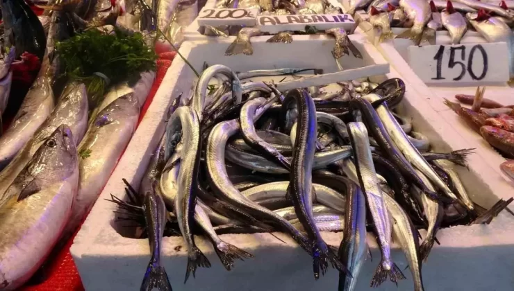 Zargana Avında Bereket