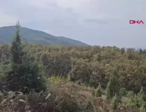 Zonguldak’ta Cinayet: İki Kişi Son Yolculuğuna Uğurlandı