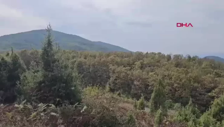 Zonguldak’ta Cinayet: İki Kişi Son Yolculuğuna Uğurlandı