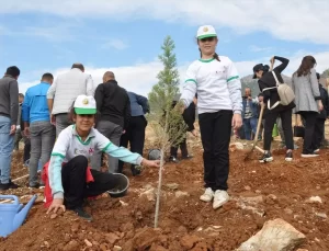 11 Kasım Ağaçlandırma Günü Etkinlikleri