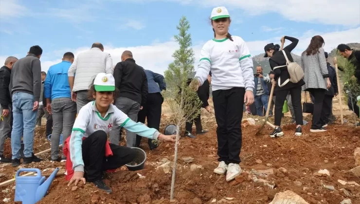 11 Kasım Ağaçlandırma Günü Etkinlikleri
