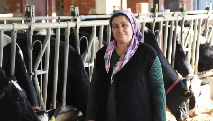 20 Yıl Önceki Hediye ile Hayvancılığa Başladı