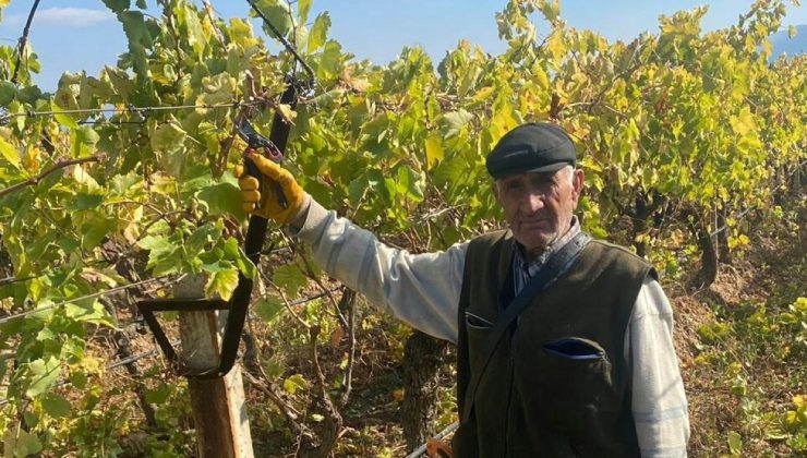 82 yaşında ekmeğini böyle kazanıyor: “Eski toprağa kırağı vurmaz”