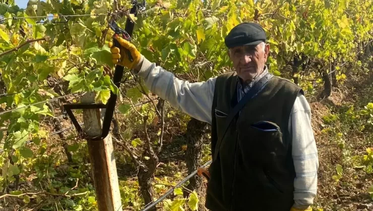 82 Yaşındaki Çetin Amca’nın Azmi