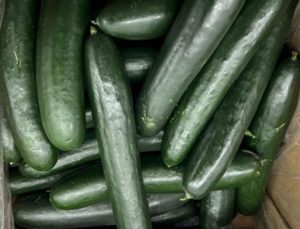 ABD’de salatalıklar salmonella riski nedeniyle incelemeye alındı