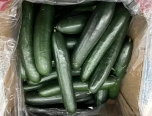 ABD’de Salatalıklar Salmonella Riski Nedeniyle İnceleniyor