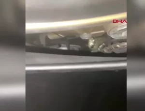 Adana Merkezli Büyük Suç Operasyonu: 207 Tutuklama