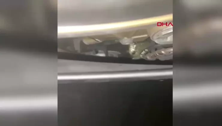 Adana Merkezli Büyük Suç Operasyonu: 207 Tutuklama