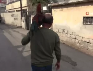 Adana’da Bir Garip Dostluk