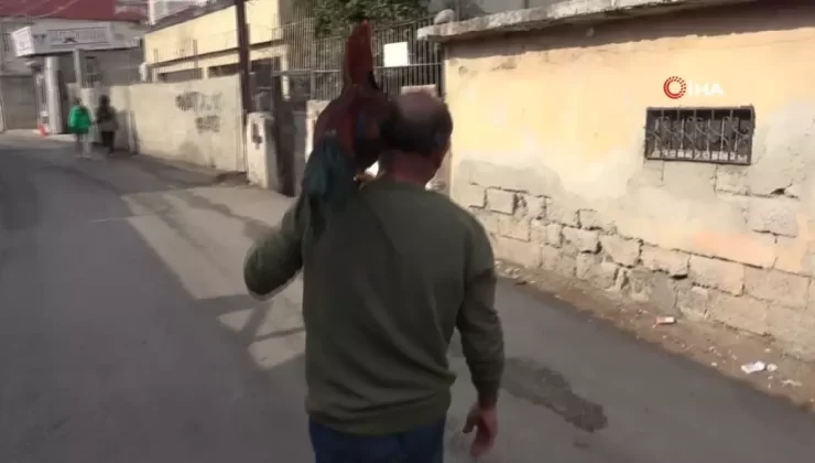 Adana’da Bir Garip Dostluk