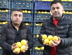 Adana’da Limon Fiyatları Uçtu: Üretici ve Tüketici Mağdur