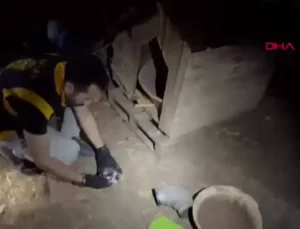 Adana’da Operasyonda Silah ve El Bombası Ele Geçirildi