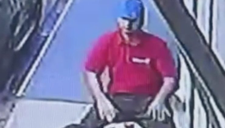 Adana’da sokak kedisi, işçinin öğle yemeğini alıp kaçtı