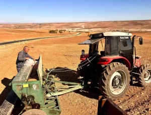Adıyaman’da Buğday Ekimi Sezonu Başladı