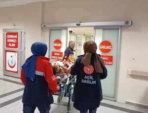 Adıyaman’da Otomobil Şarampole Devrildi