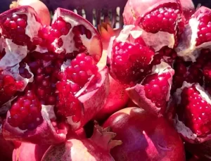 Adıyaman’ın Organik Narları Avrupa Pazarında