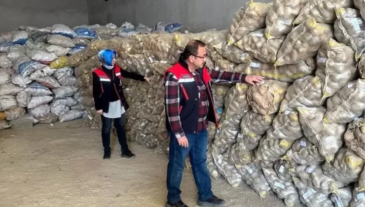 Afyonkarahisar’dan 300 Ton Patates İhracatı