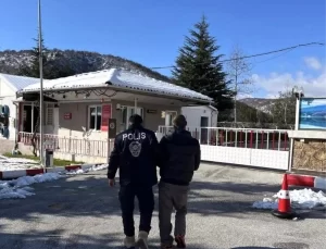 Ağaç Kesme Suçundan Tutuklama