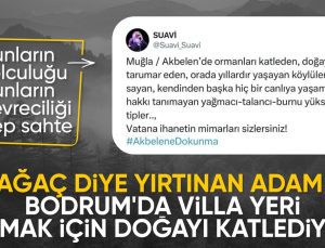 Ağaç talanı yapan Suavi’nin eski ‘çevreci’ paylaşımları